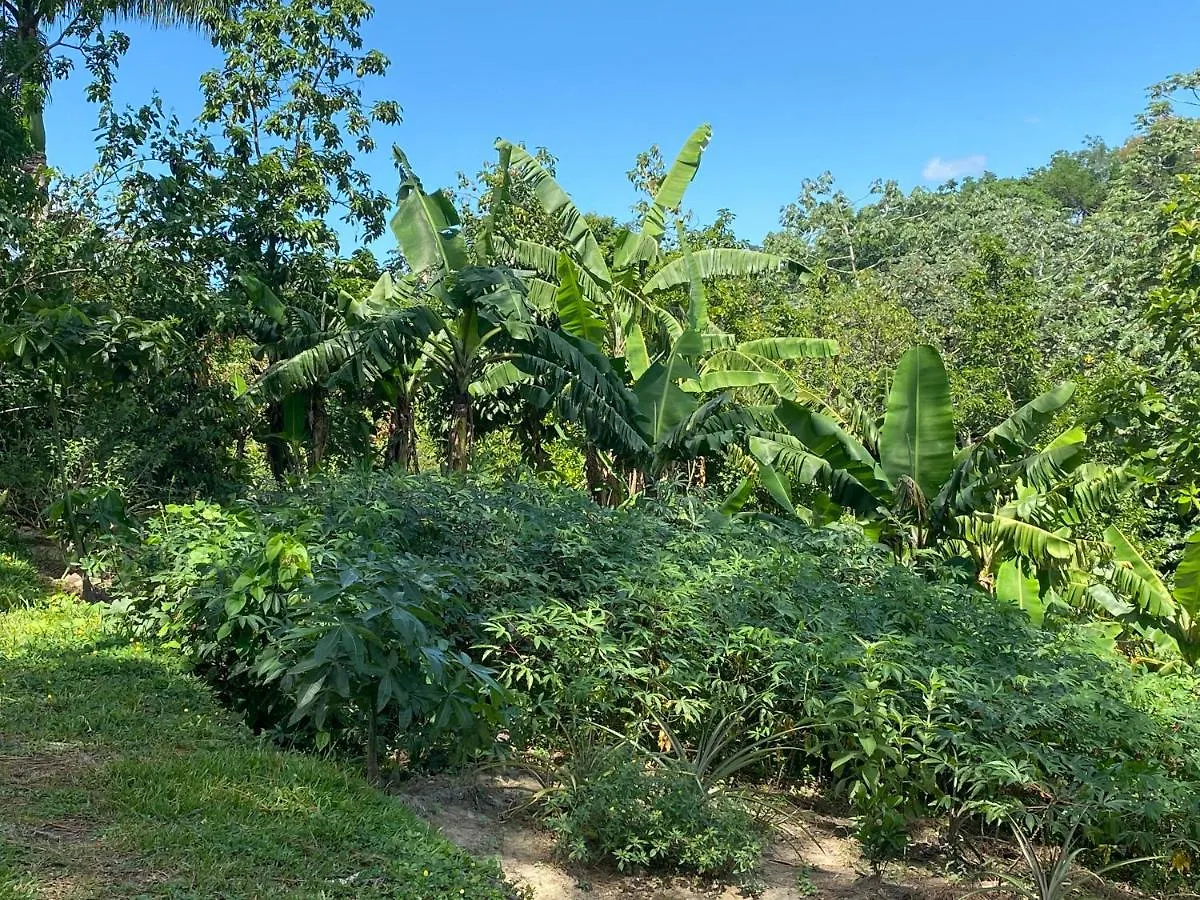 Gaestezimmer In Der Villa Zimmer Jarabacoa 0*,  Dominican Republic